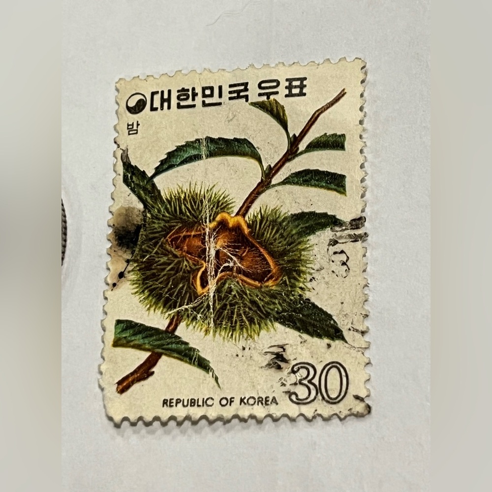 Vintage Used Republic of Korean Postage Stamp Chinese Chestnut Fruit 1974